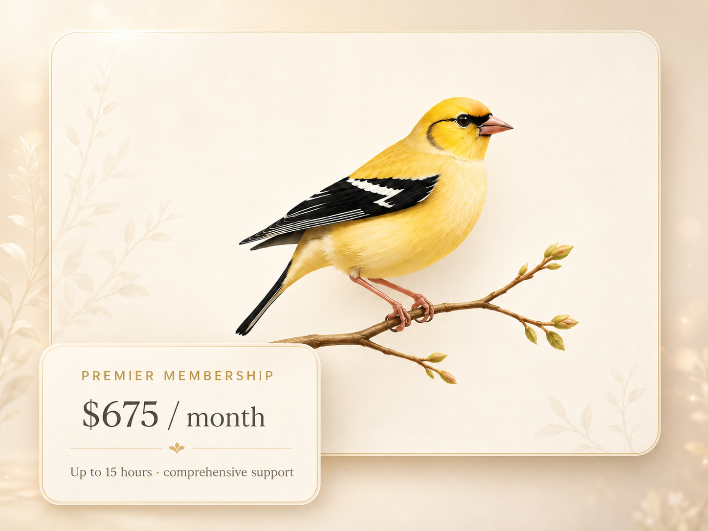 American goldfinch perched on a branch with Premier Membership card showing $675 per month